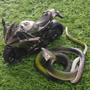 Green Sports Bike & Snake Toy Combo